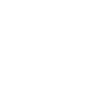 Palziv